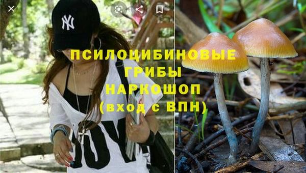 тгк Арсеньев