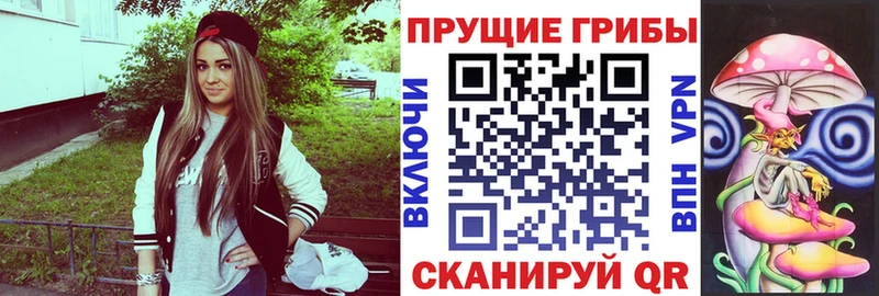 купить наркотики сайты  Ессентуки  kraken ссылки  Псилоцибиновые грибы Psilocybine cubensis 